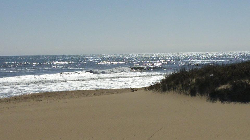 קיל דוויל הילס Outer Banks Motor Lodge מראה חיצוני תמונה